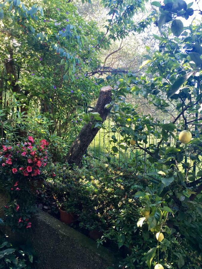 Il Nido Della Rondine Bed and Breakfast Leivi Εξωτερικό φωτογραφία